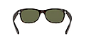 Ray Ban 0RB2132 902 NEW WAYFARER