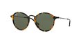 Ray Ban 0RB2447 1157 ROUND