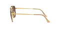 Ray Ban 0RB3648M 912443 THE MARSHAL II