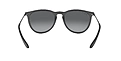 Ray Ban 0RB4171 622/T3 ERIKA