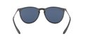 Ray Ban 0RB4171 647380 ERIKA