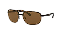 Ray Ban 0RB4275CH 710/BB