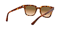 Ray Ban 0RB4324 647551