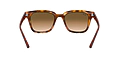 Ray Ban 0RB4324 647551