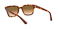 Ray Ban 0RB4324 647551