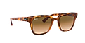 Ray Ban 0RB4324 647551