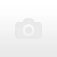 Ray-Ban Tech RB 4250 601S9A